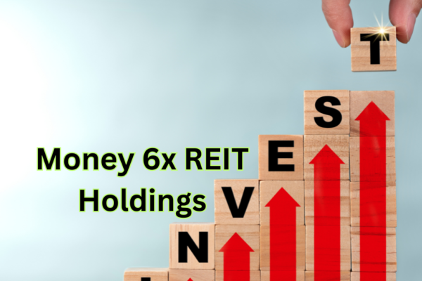 Money 6x REIT Holdings