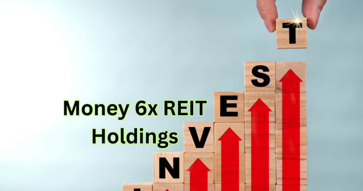 Money 6x REIT Holdings