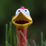 Muppet with Long Hooked Beak