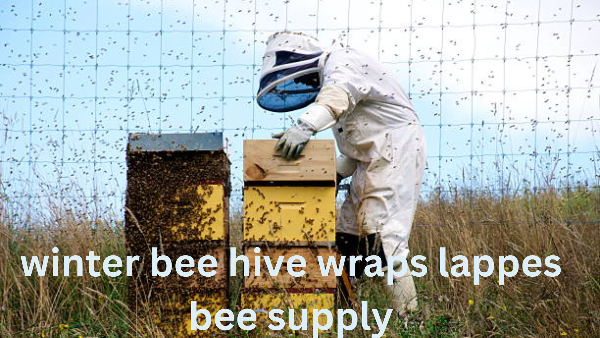 winter bee hive wraps lappes bee supply